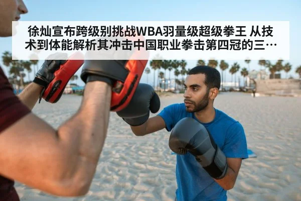 徐灿宣布跨级别挑战WBA羽量级超级拳王 从技术到体能解析其冲击中国职业拳击第四冠的三大关键
